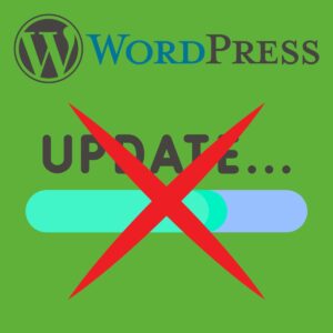 wordpress automatische updates deaktivieren