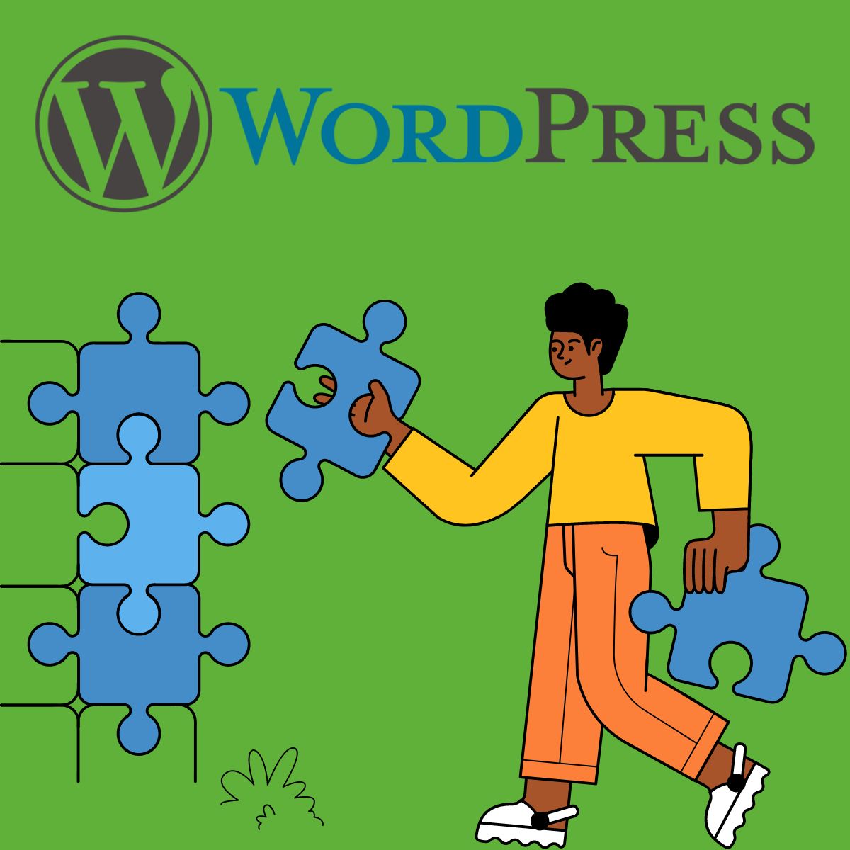 wordpress plugins